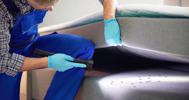 Best Rat Extermination Near Me  in Greentown, OH