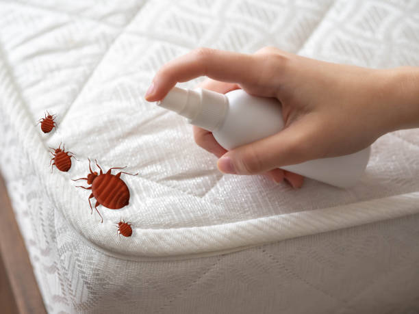 Best Affordable Pest Control Services  in Greentown, OH