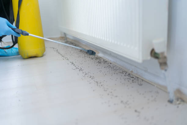 Best Emergency Pest Control  in Greentown, OH